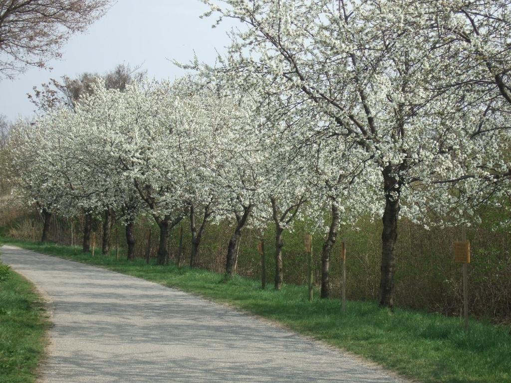 Gasthof-Pension Wein บรายเทนบรุนน์ ภายนอก รูปภาพ